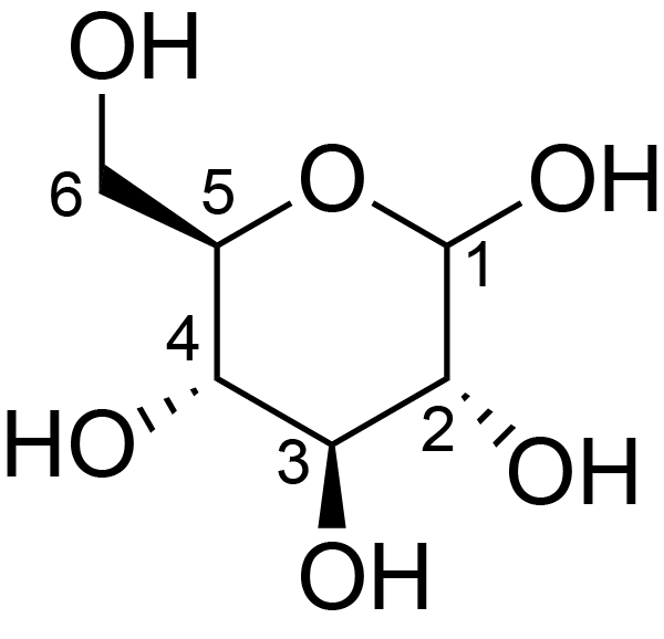 teichoic acid