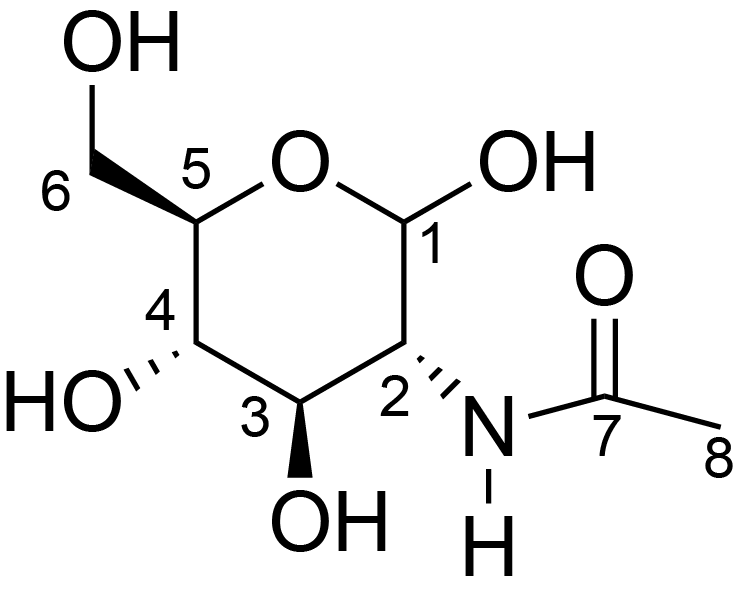 N-acetylglucosamine