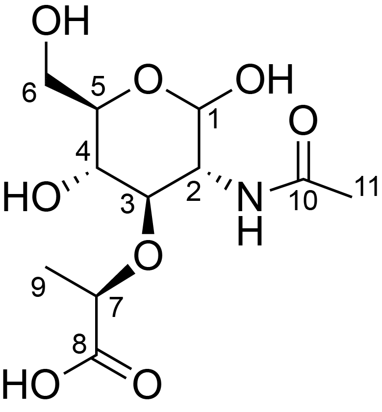 N-acetylmuramic acid